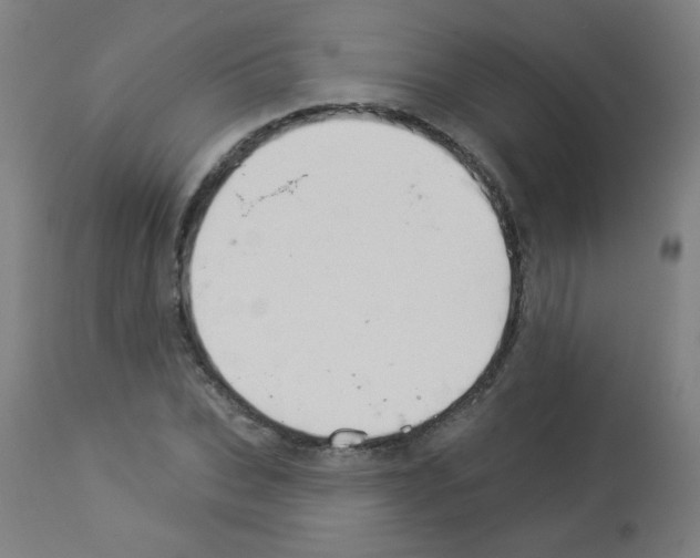 X0000112980927200910081106
