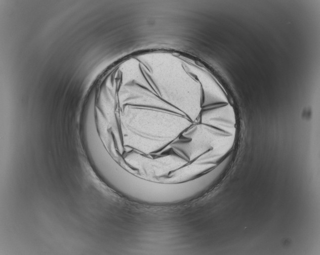 X0000112980936200910081106