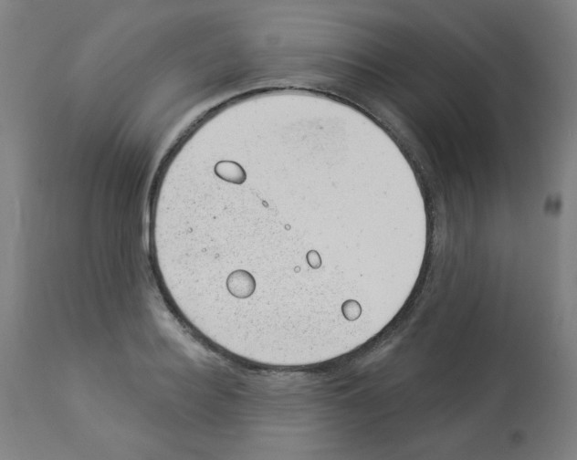 X0000112980940200910081106