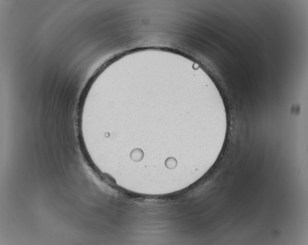 X0000112980942200910081106