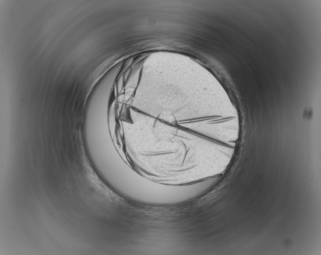 X0000112980946200910081106