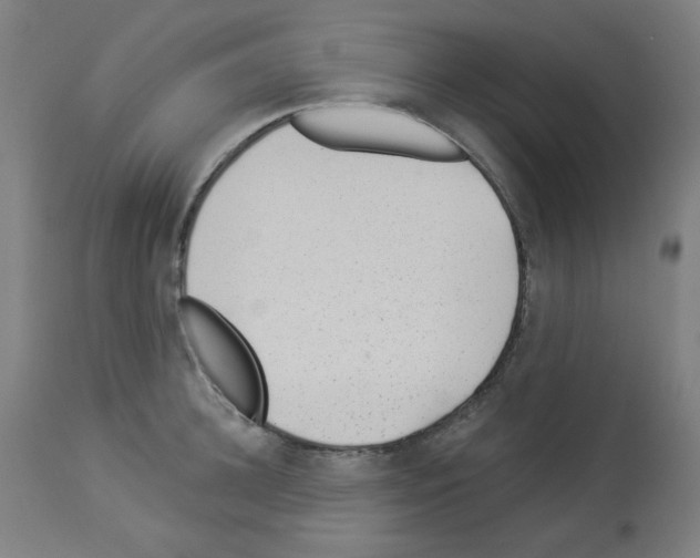X0000112980948200910081106