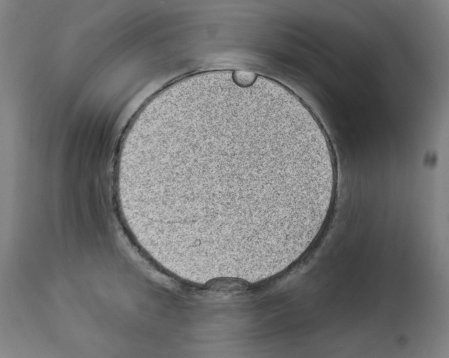 X0000112980949200910081106