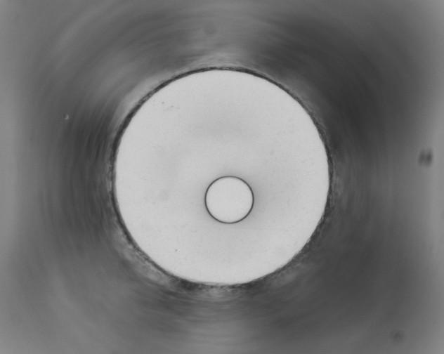 X0000112980950200910081106