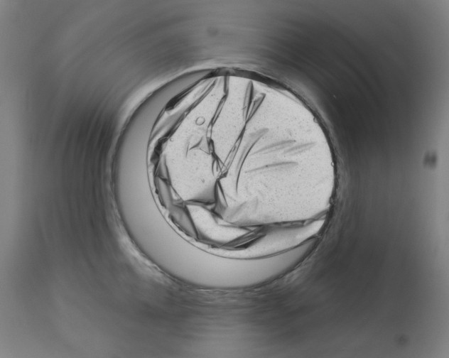 X0000112980952200910081106