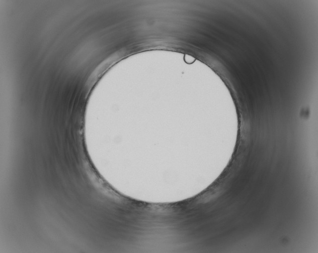 X0000112980954200910081107