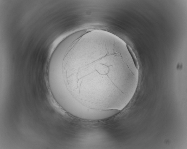 X0000112980960200910081107