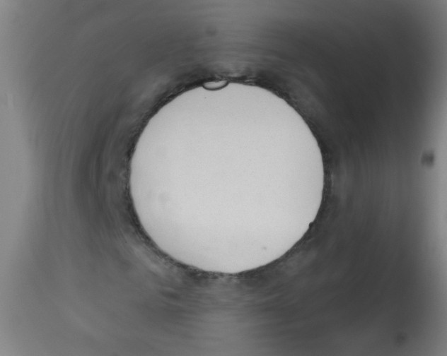 X0000112980961200910081106
