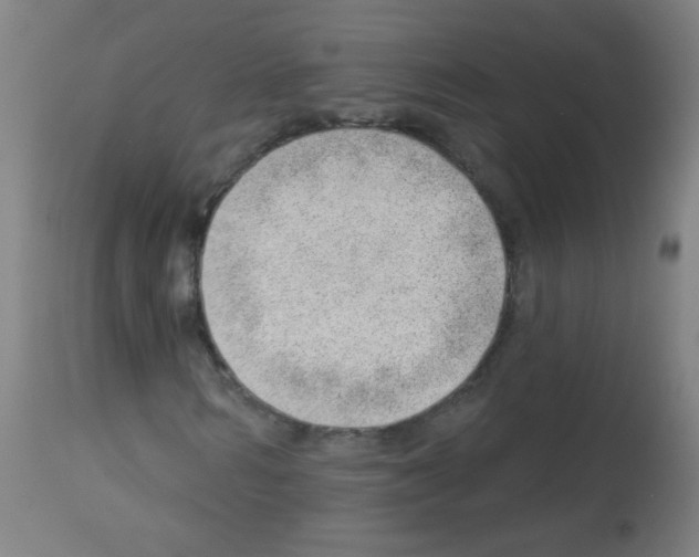X0000112980962200910081106