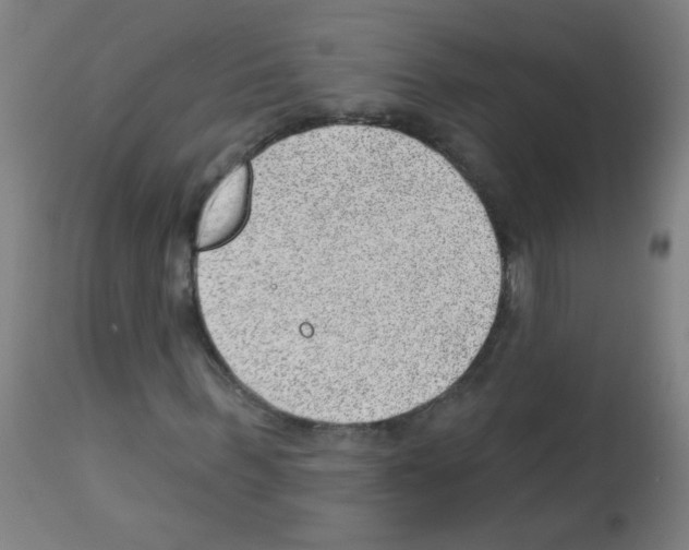 X0000112980963200910081106