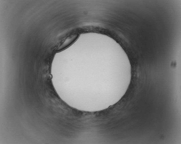 X0000112980965200910081106