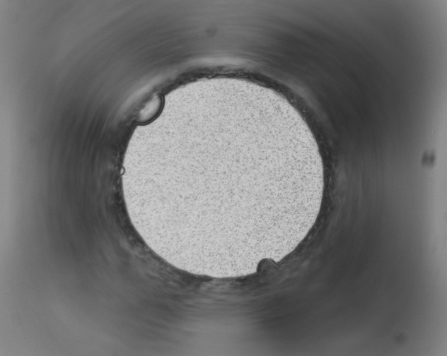 X0000112980967200910081106
