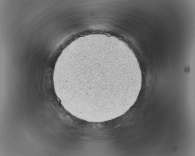 X0000112980968200910081106