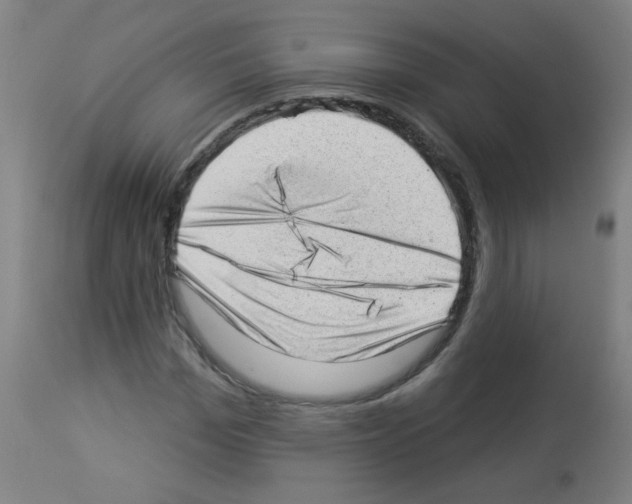 X0000112980969200910081106