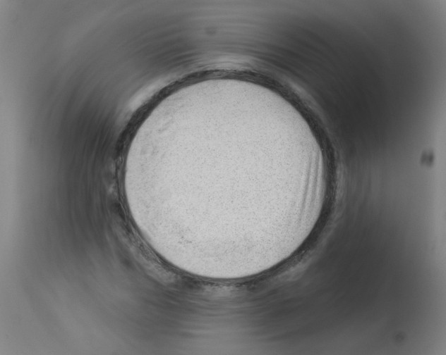 X0000112980970200910081106