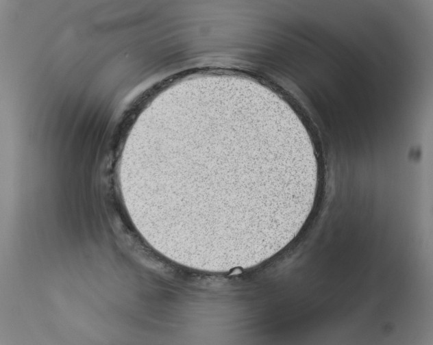X0000112980971200910081106