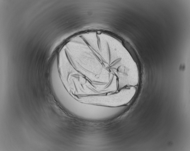 X0000112980973200910081106