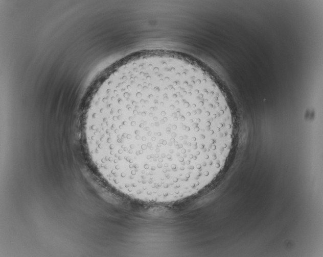 X0000112980974200910081106