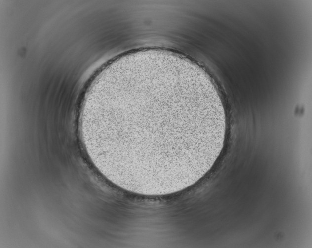 X0000112980975200910081106