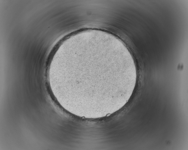 X0000112980976200910081106