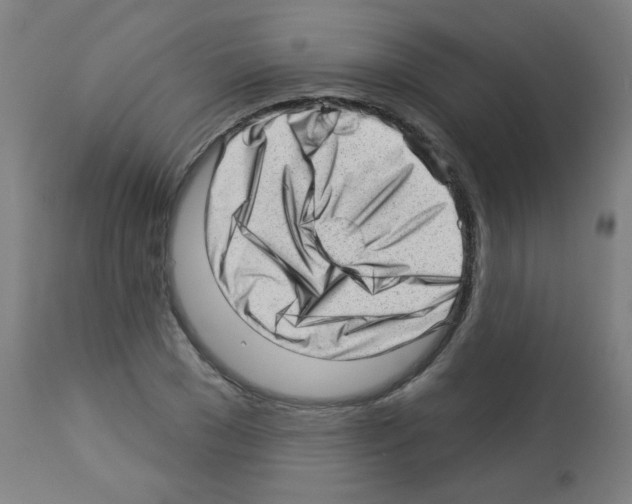 X0000112980977200910081106