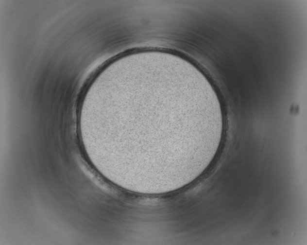 X0000112980982200910081106