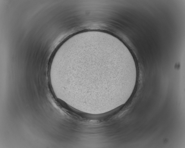 X0000112980986200910081106