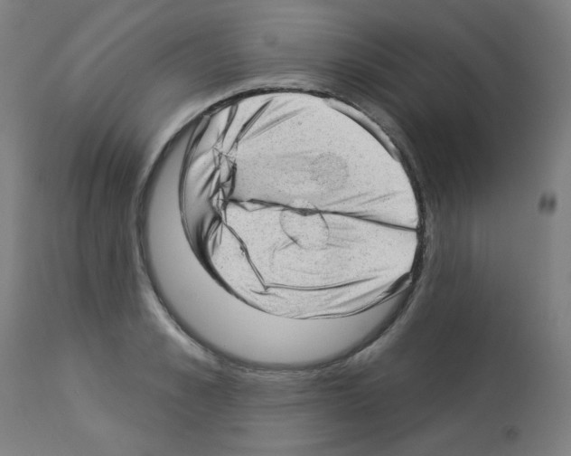 X0000112980989200910081106