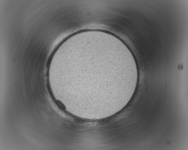X0000112980990200910081106