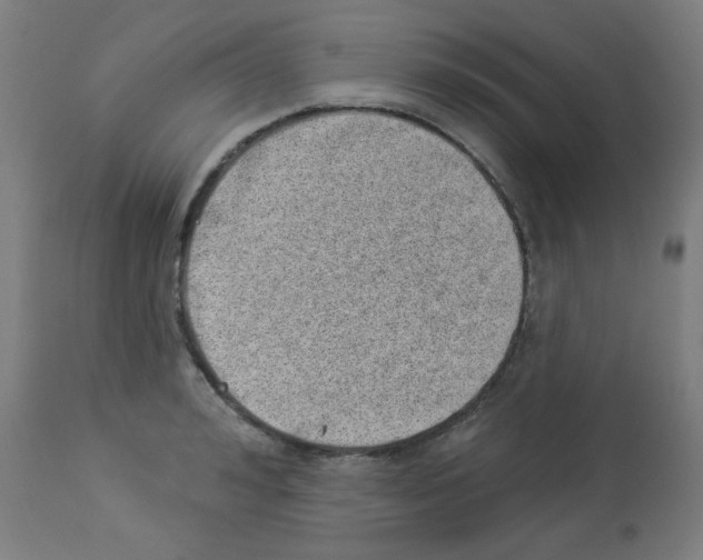 X0000112980992200910081106