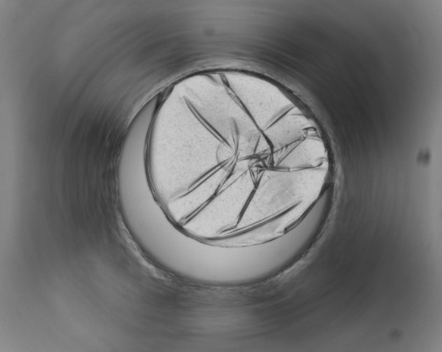 X0000112980993200910081106
