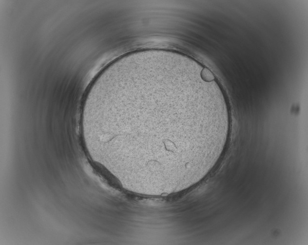 X0000112980994200910081105