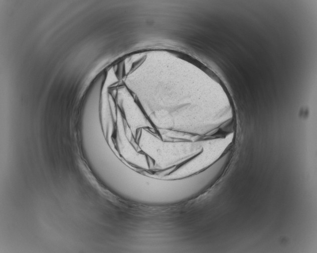 X0000112980997200910081105