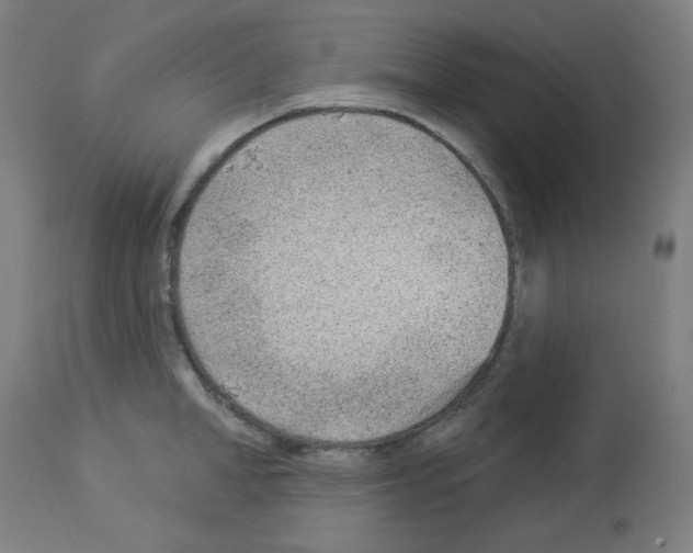 X0000112980998200910081105