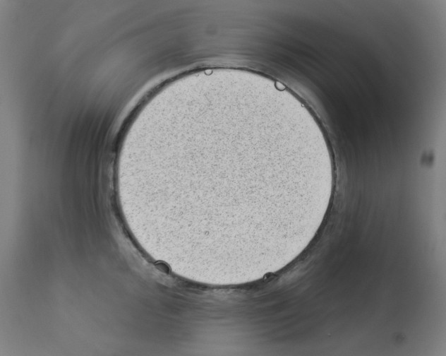 X0000112981000200910081105
