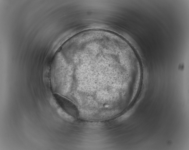 X0000112981001200910081105