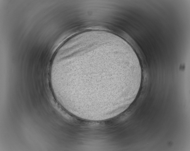 X0000112981002200910081105