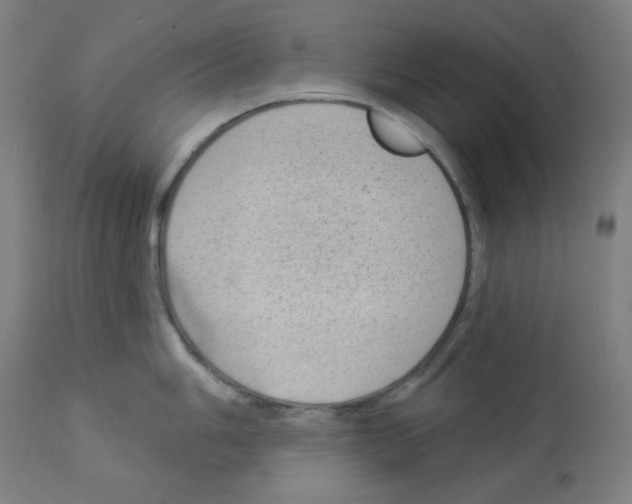X0000112981006200910081105