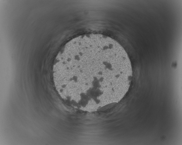 X0000112981009200910081104