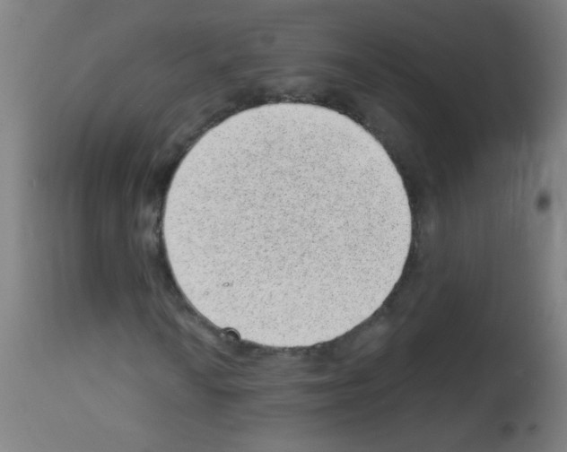 X0000112981010200910081104