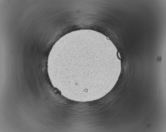 X0000112981012200910081105