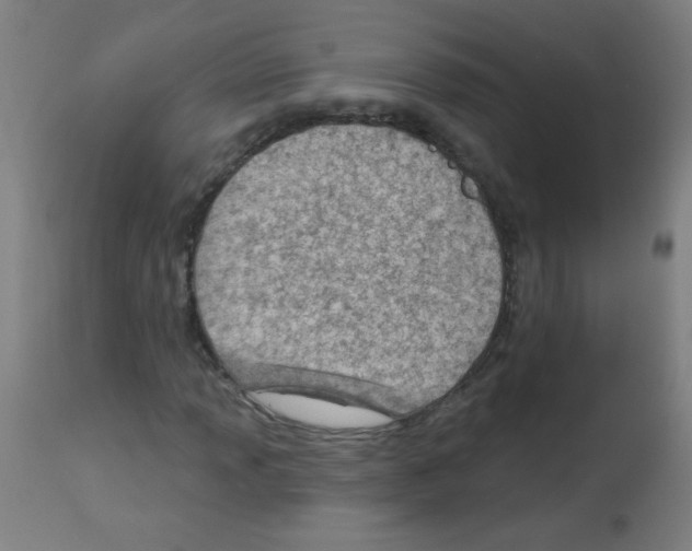 X0000112981013200910081105