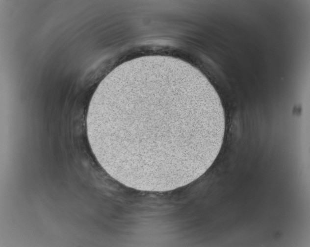 X0000112981014200910081105