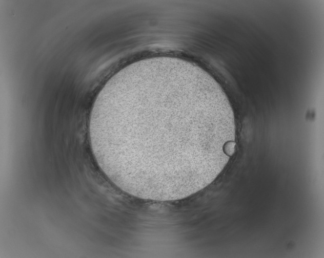 X0000112981015200910081105