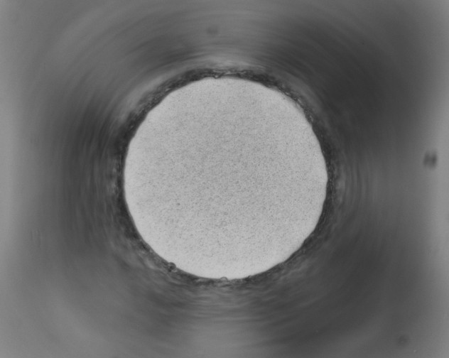 X0000112981016200910081105