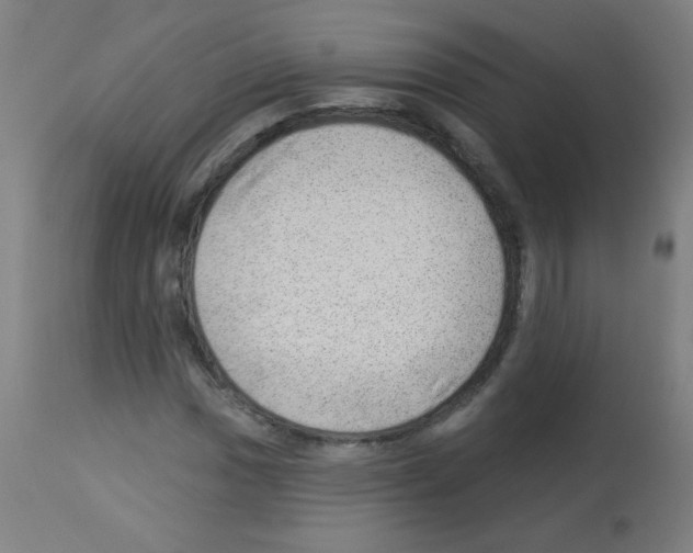 X0000112981017200910081105