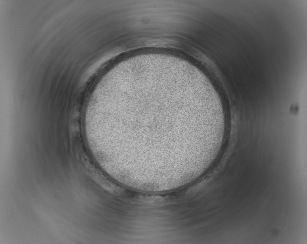 X0000112981019200910081105