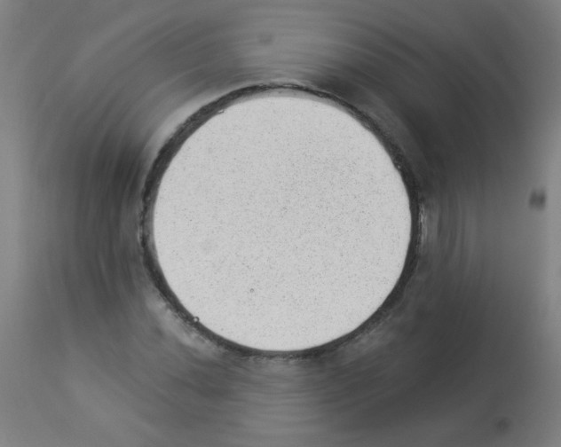 X0000112981020200910081105