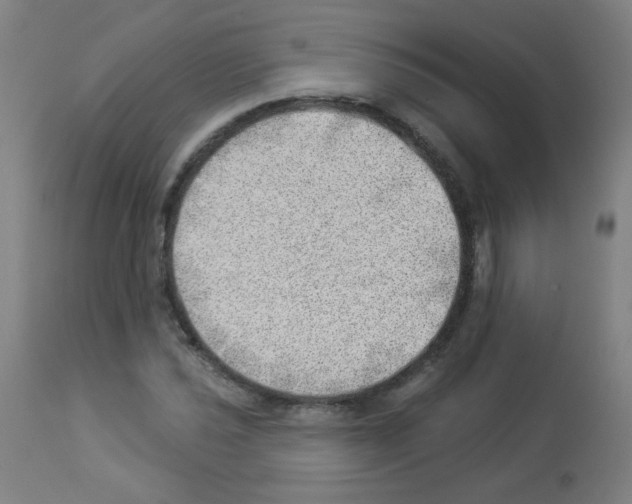 X0000112981021200910081105