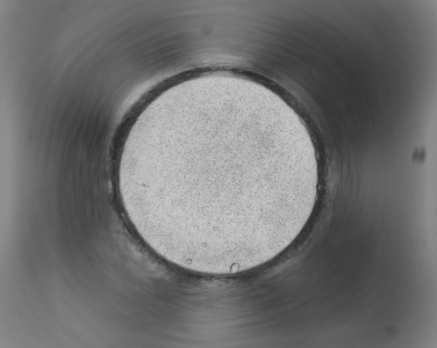 X0000112981022200910081105